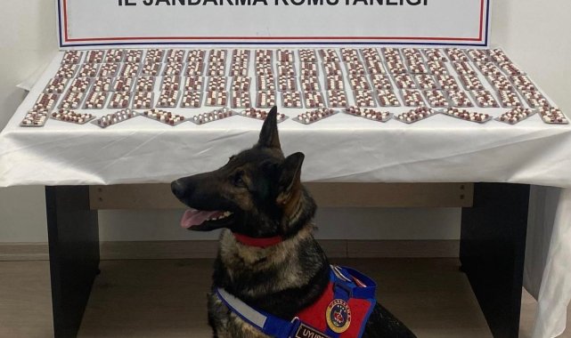 Kastamonu'da uyuşturucu operasyonu: 1 tutuklama