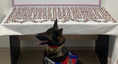 Kastamonu'da uyuşturucu operasyonu: 1 tutuklama