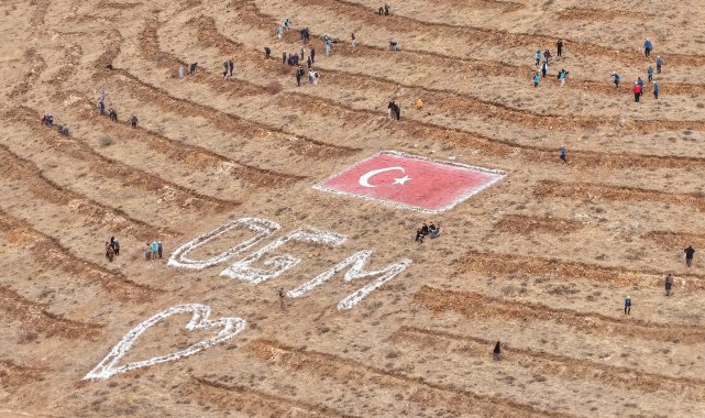 Kayseri'de 35 bin fidan dikildi