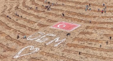 Kayseri'de 35 bin fidan dikildi