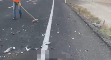 Nevşehir'de otomobilin çarptığı 2 at öldü