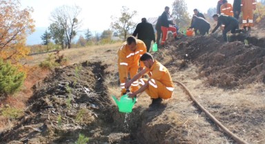 Sariveliler'de Milli Ağaçlandırma Günü Kapsamında Fidanlar Toprakla Buluştu