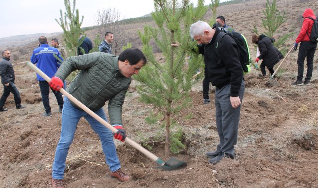 Sivas'ta 58 bin fidan toprakla buluşturuldu