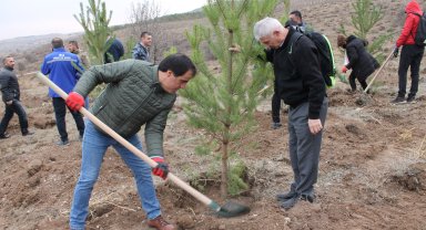 Sivas'ta 58 bin fidan toprakla buluşturuldu