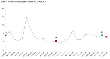 TÜİK: Hizmet üretim endeksi eylülde yıllık yüzde 3,1 arttı