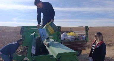 Yeşildere Köyü Meraları, Mera Bitkileri Tohum Ekimiyle Eski Haline Dönüyor