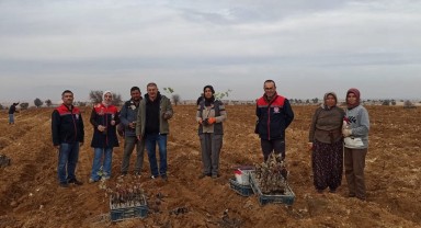 Karaman İl Müdürü Hatice Bulut'tan Üzüm Bağı Üreticisine Ziyaret