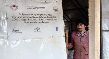 Sarıveliler İlçesinde Küçükbaş Hayvanlarda Küpeleme Çalışmaları Sürüyor