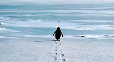 Karaman FK'dan Şehrin Büyüklerine Takımlarına Sahip Çıkma Çağrısı