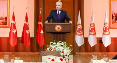 Karaman Valisi Çiçek, TBMM'de 