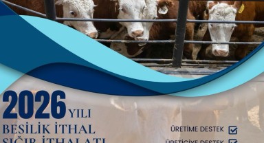 Karaman'da 2026 Yılı Besilik Sığır İthalatı Başvuru Listesi Askıya Çıktı
