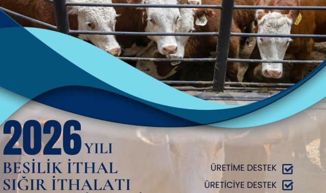 Karaman'da 2026 Yılı Besilik Sığır İthalatı Başvuru Listesi Askıya Çıktı