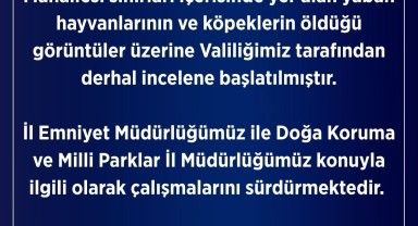 Karaman'da Yaban Hayvanları ve Köpeklerin Ölümüyle İlgili Valilik İnceleme Başlattı