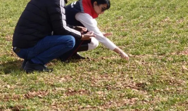 Kazımkarabekir'de Hububat Alanlarında Gübreleme ve Hastalık Kontrolleri Yapıldı