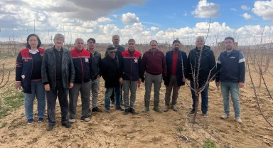 Ayrancı'da Meyve Ağaçlarında Budama Eğitimi Verildi