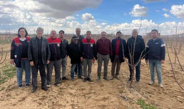 Ayrancı'da Meyve Ağaçlarında Budama Eğitimi Verildi
