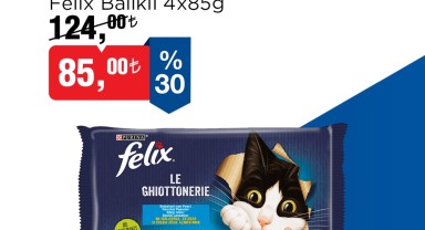 BİM'den Mama Kampanyası: Felix Ürünlerinde %30 İndirim