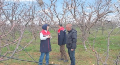 Karaman'da Elma Bahçelerinde Fenolojik Gözlem Yapıldı
