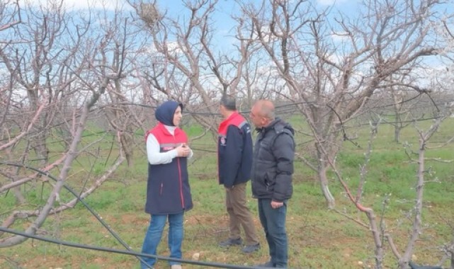 Karaman'da Elma Bahçelerinde Fenolojik Gözlem Yapıldı