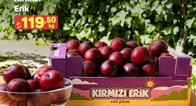 A101'da Kırmızı Erikler Raflarda: Yazın Tadı Şimdi Marketlerde