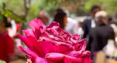 Bifa Ortaokulu'nda Yıl Sonu Sergisi: Öğrenci ve Öğretmenlerin Emeği Göz Kamaştırdı