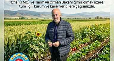 Karaman Ziraat Odası'ndan Çiftçiler İçin Hububat Alım Fiyatı Çağrısı