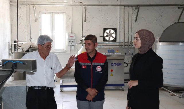 Ayrancı Kaymakamı Divle'de Mandıra İncelemesi Yaptı