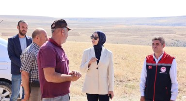 Ayrancı Kaymakamı Nihal Özer Buğdaylı Köyü'nde Hasada Katıldı