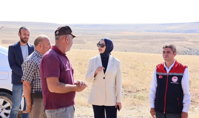 Ayrancı Kaymakamı Nihal Özer Buğdaylı Köyü'nde Hasada Katıldı