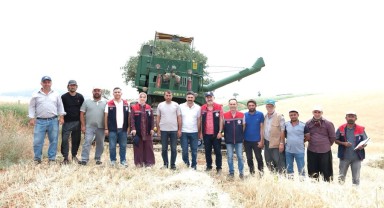 Karaman'da Hububat Hasadı Devam Ediyor: İl Müdürü Bulut Saha İncelemesinde