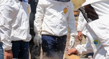 Karaman Valisi Hayrettin Çiçek Üçkuyu Köyü'nde Bal Hasadına Katıldı