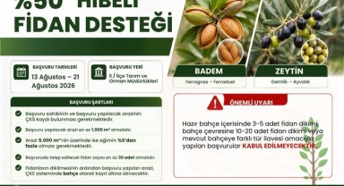 Karaman'da %50 Hibeli Zeytin ve Badem Fidanı Desteği Başlıyor
