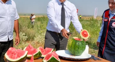 Karaman'da Ata Tohumu Ortaoba Karpuzu Hasadı Gerçekleştirildi