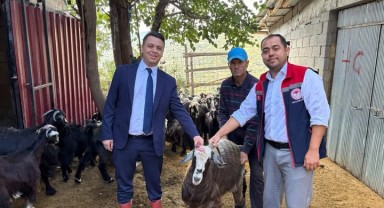Başyayla'da 'Köyümde Yaşamak İçin Bir Sürü Nedenim Var' Projesi Kapsamında Hayvan Teslimatı