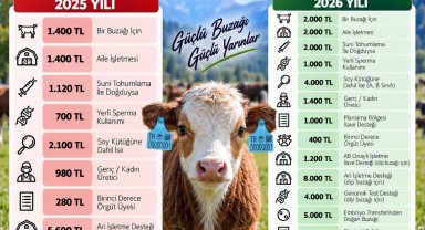 Karaman İl Tarım ve Orman Müdürlüğü'nden Buzağı Desteklemesi Açıklaması
