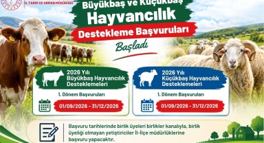 Karaman'da Büyükbaş ve Küçükbaş Hayvancılık Destekleme Başvuruları Başladı