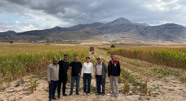 Karaman'da Mısır Hasadı Başladı: Kazımkarabekir'de Üreticinin Yüzü Gülüyor