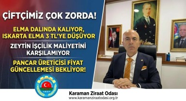 Karaman Çiftçisi Büyük Çıkmazda: Elma Dalında, Zeytin Zararda