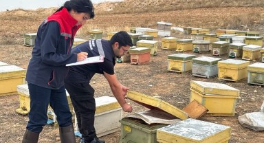 Karaman'da Arılı Kovan Desteklemeleri İçin Saha Çalışmaları Sürüyor