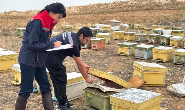 Karaman'da Arılı Kovan Desteklemeleri İçin Saha Çalışmaları Sürüyor