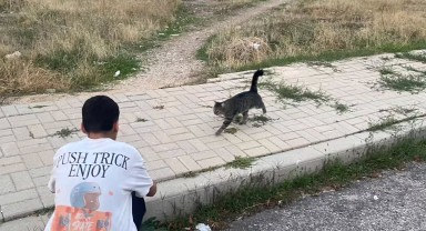 Karaman'da Çocuk Evleri Sakinleri Sokak Hayvanlarını Unutmadı