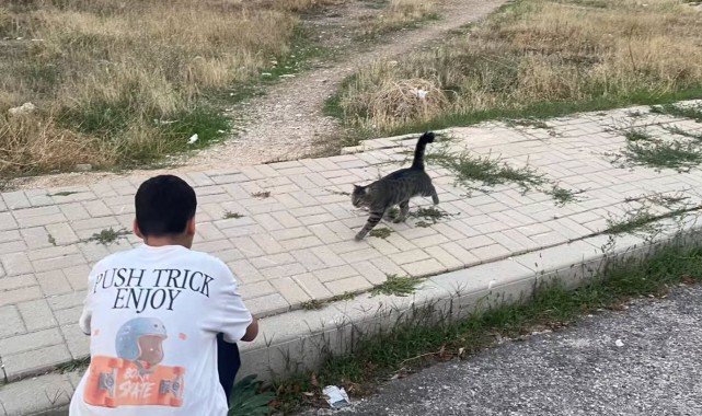 Karaman'da Çocuk Evleri Sakinleri Sokak Hayvanlarını Unutmadı
