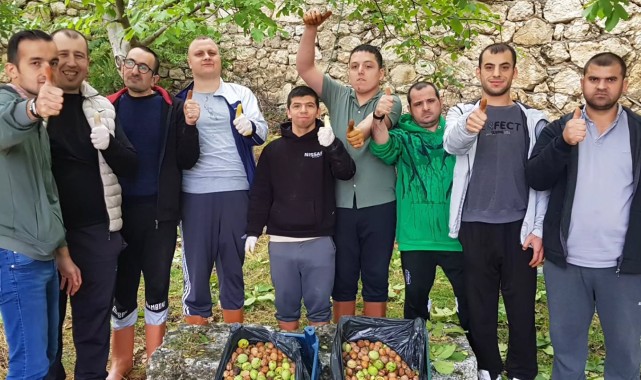 Karaman'da Özel Gereksinimli Bireyler Ceviz Toplama Etkinliğinde Buluştu