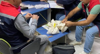 Karaman'da Tohumluk Bayilerinde Kalite Kontrolü Yapılıyor