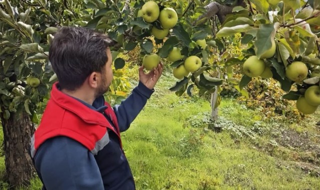 Sarıveliler'de Meyve Bahçelerinde Zararlı Kontrolleri Yapıldı